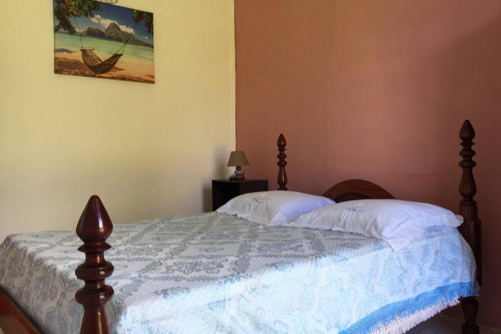 Logement En Pleine Verdure Tropicale -10 Min Plage Le Morne-Rouge Ngoại thất bức ảnh