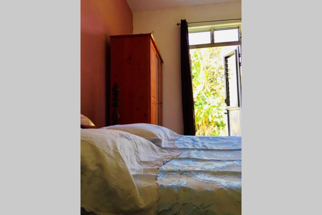 Logement En Pleine Verdure Tropicale -10 Min Plage Le Morne-Rouge Ngoại thất bức ảnh