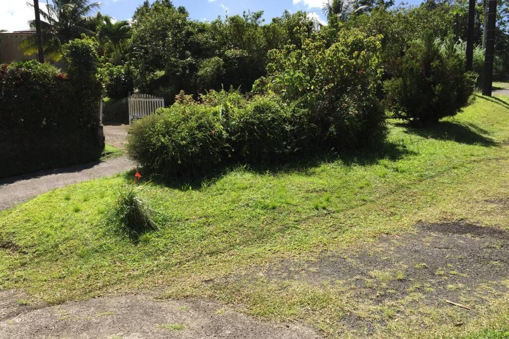Logement En Pleine Verdure Tropicale -10 Min Plage Le Morne-Rouge Ngoại thất bức ảnh